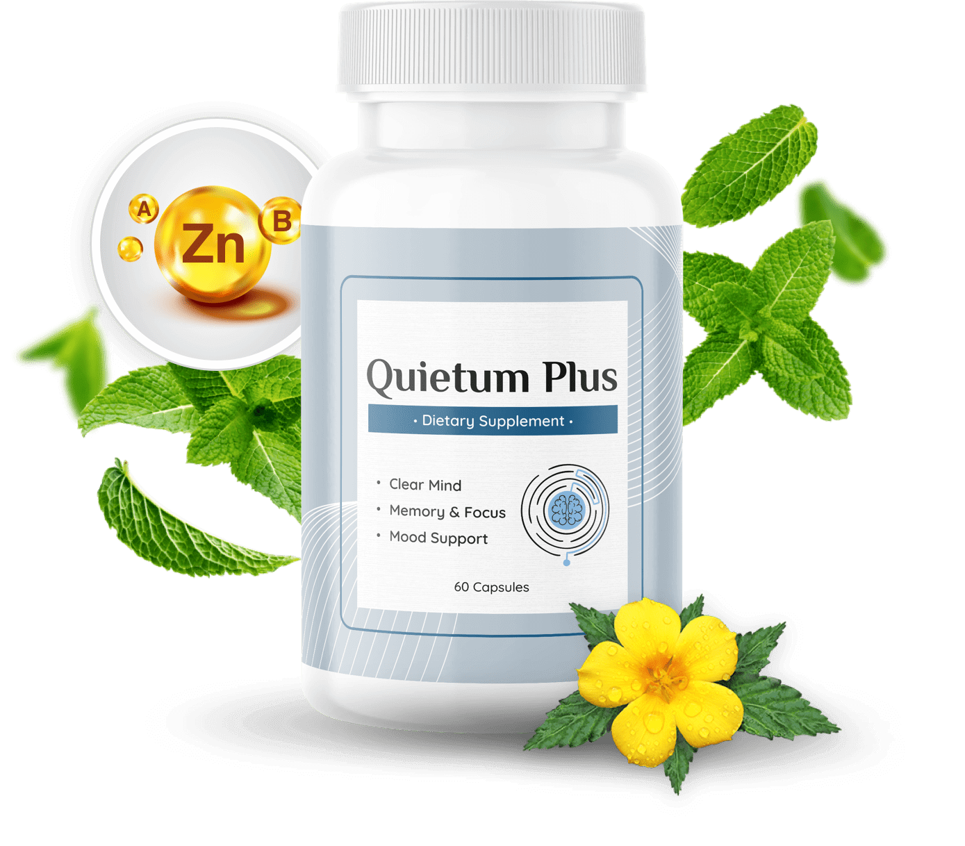 Quietum Plus Bottle